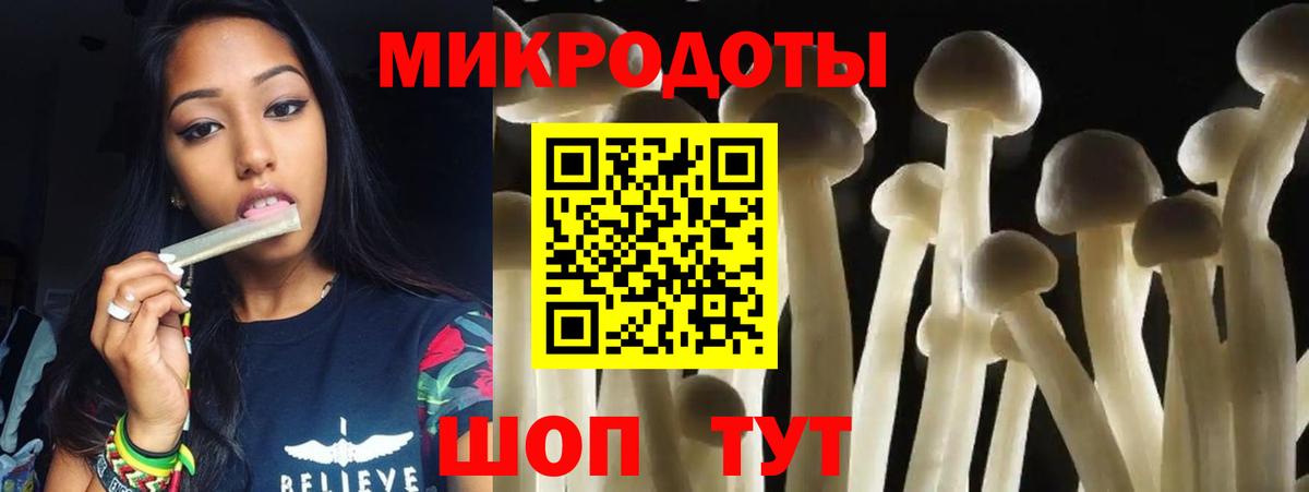 Дзержинский  Галлюциногенные грибы мухоморы  Псилоцибиновые грибы GOLDEN TEACHER  продажа наркотиков  Вход с VPN 